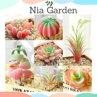 Sen đá giả cây sen đá nhựa nhân tạo decor trang trí bàn làm việc chậu cây giả mini Nia Garden N10 SD7