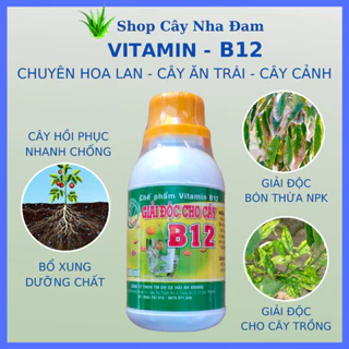 B12 Giải Độc Chống Sốc Cho Cây Trồng, Cây Kiểng, Phong Lan, Hoa Kiểng (Lọ 100ML)