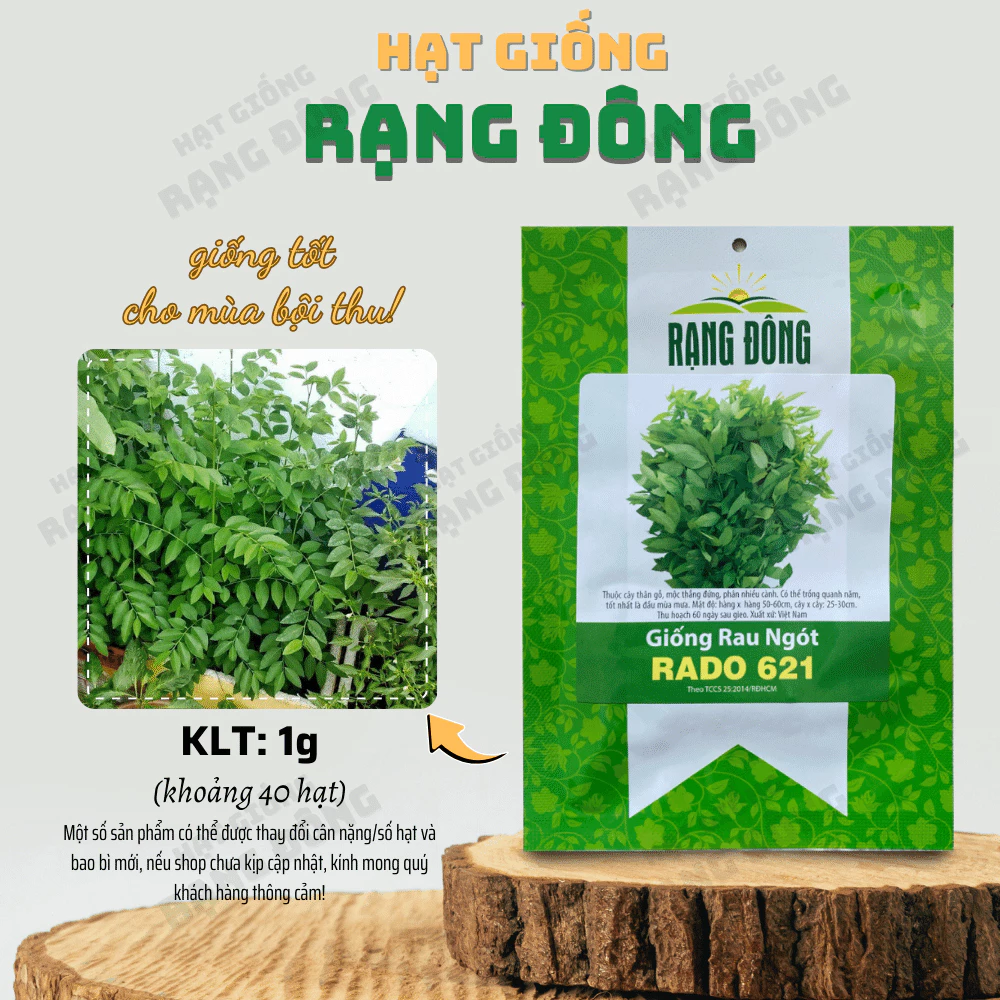 Hạt giống Rau Ngót Rado 621 (1g~40 hạt) - Rau Bồ Ngót trồng quanh năm, sinh trưởng khỏe - Hạt giống Rạng Đông