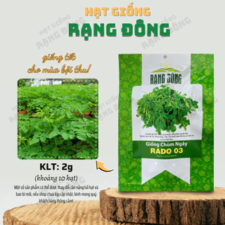 Hạt giống Chùm Ngây Rado 03 (2g~10 hạt) nhiều công dụng, trồng quanh năm, tuổi thọ 5 năm - Hạt giống Rạng Đông