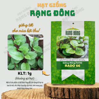 Hạt giống Mồng Tơi Đỏ Rado 66 (1g~40 hạt) dễ trồng, ít sâu bệnh, chịu nhiệt tốt, trồng quanh năm - Hạt giống Rạng Đông