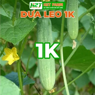 [DEAL 1K] 2 Hạt Giống Dưa Leo, Dưa Chuột Nhật, Dưa Leo Baby Chùm  (gói chiết nhỏ) - h2t farm