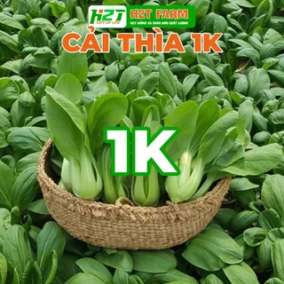 [DEAL 1K] 50 Hạt Giống Cải Thìa 5gr (gói chiết nhỏ) - h2t farm