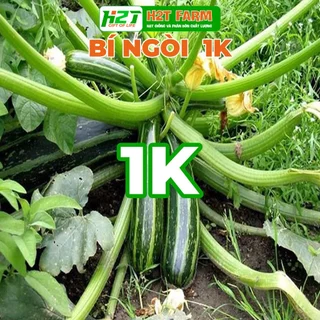 [DEAL 1K] 2 Hạt giống bí ngòi xanh hàn quóc, dễ trồng F1 (gói chiết nhỏ) - h2t farm