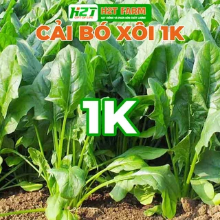 [DEAL 1K] Hạt giống Cải Bó Xôi (Rau Chân Vịt) chịu nhiệt, sinh trưởng khỏe, trồng quanh năm (gói chiết nhỏ) - h2t farm
