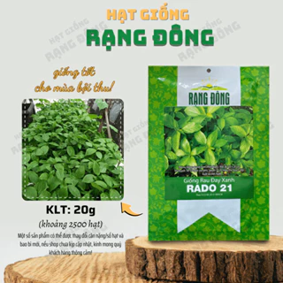 Hạt giống Rau Đay Xanh Rado 21 (20g~2500 hạt) nhanh thu hoạch, sinh trưởng khỏe, trồng quanh năm - Hạt giống Rạng Đông