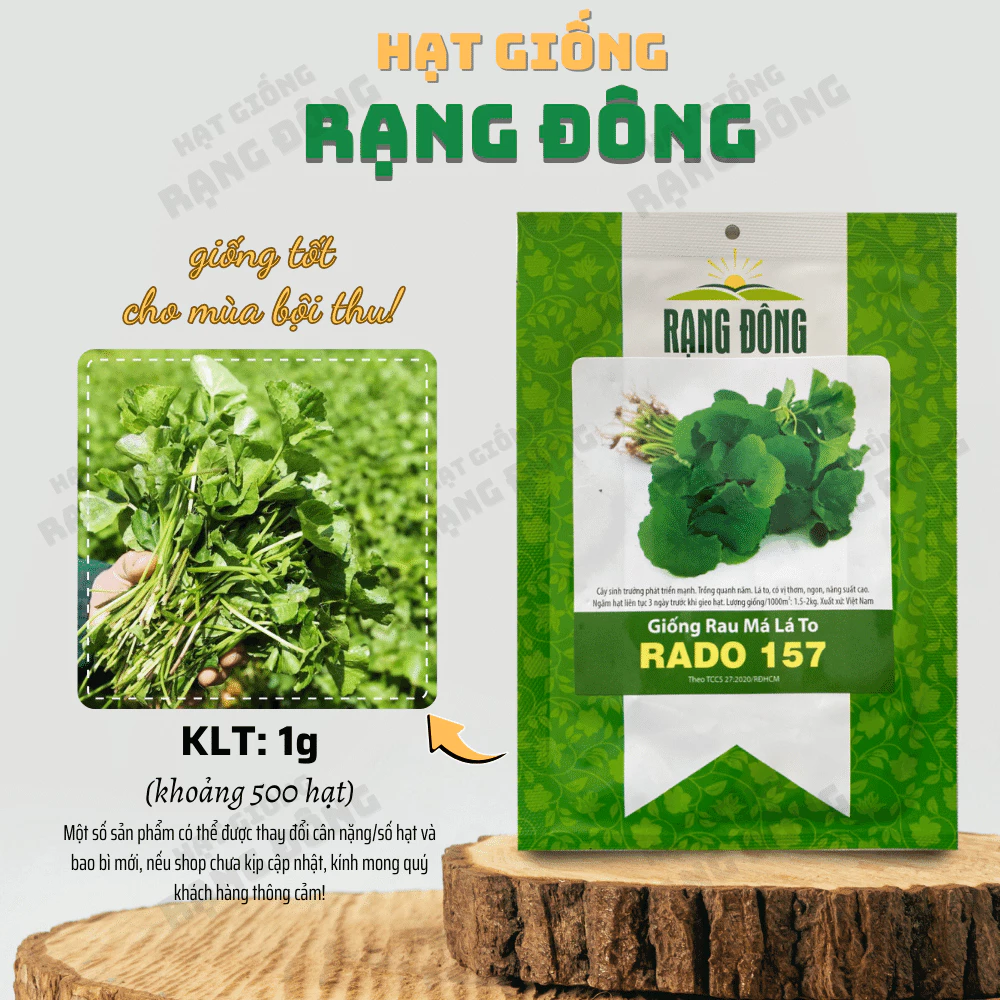 Hạt giống Rau Má Lá Lớn Rado 157 (1g~500 hạt) sinh trưởng khỏe, trồng quanh năm, năng suất cao - Hạt giống Rạng Đông