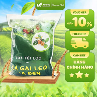 Trà cà gai leo xạ đen túi lọc sadu túi lọc mát gan giải độc thanh lọc cơ thể 250g