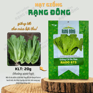 Hạt giống Cải Bẹ Dưa Rado 673 (20g~4000 hạt) cao sản, trồng quanh năm, dễ chăm sóc - Hạt giống Rạng Đông