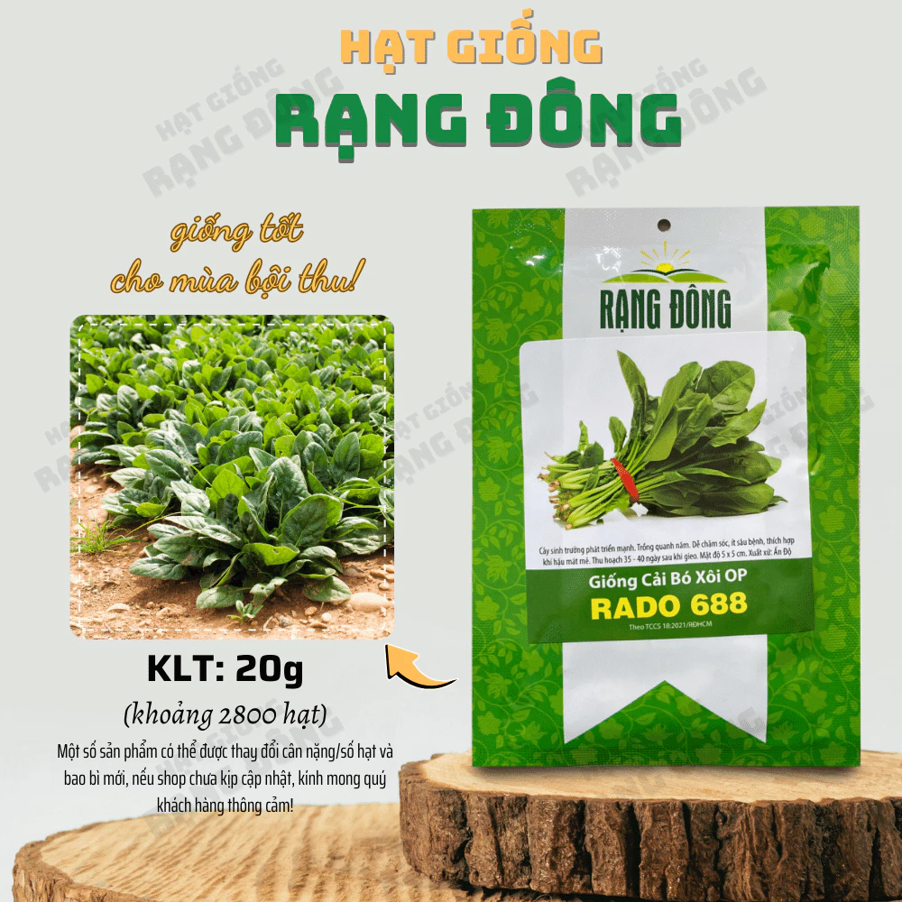 Hạt giống Cải Bó Xôi OP Rado 688 (20g~2800 hạt) chịu nhiệt, sinh trưởng khỏe, trồng quanh năm - Hạt giống Rạng Đông