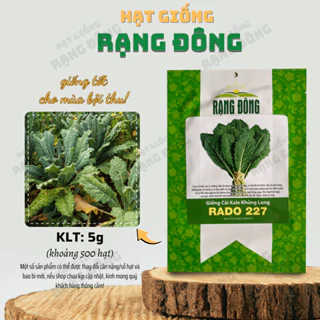 Hạt giống Cải Kale Khủng Long Rado 227 (5g~500 hạt) giống cải xoăn kale khổng lồ trồng quanh năm - Hạt giống Rạng Đông