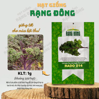 Hạt giống Cải Kale Tím (Cải Xoăn Tím) Lai F1 Rado 214 (1g~200 hạt) trồng quanh năm, giàu dinh dưỡng - Hạt giống Rạng Đô