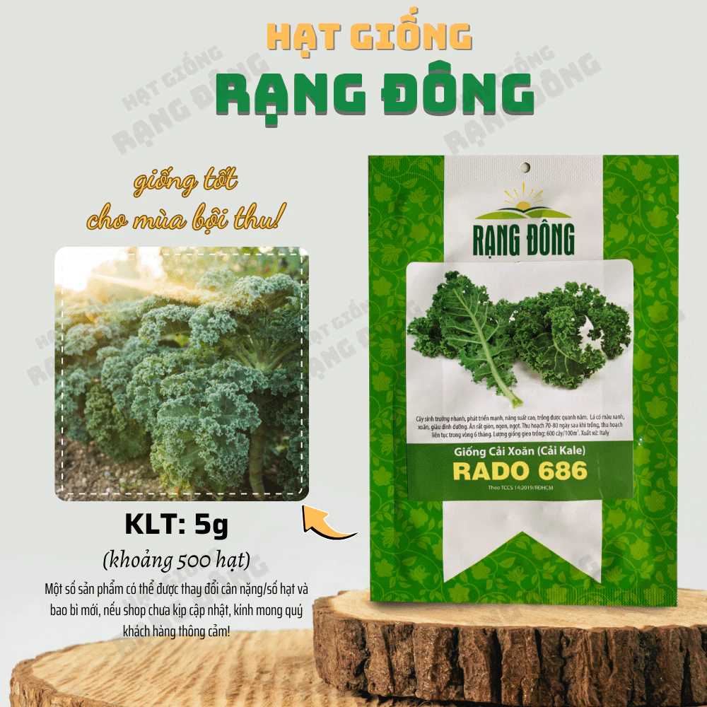 Hạt giống Cải Xoăn (Cải Kale) Rado 686 (5g~500 hạt) kháng bệnh, giàu dinh dưỡng, trồng quanh năm - Hạt giống Rạng Đông