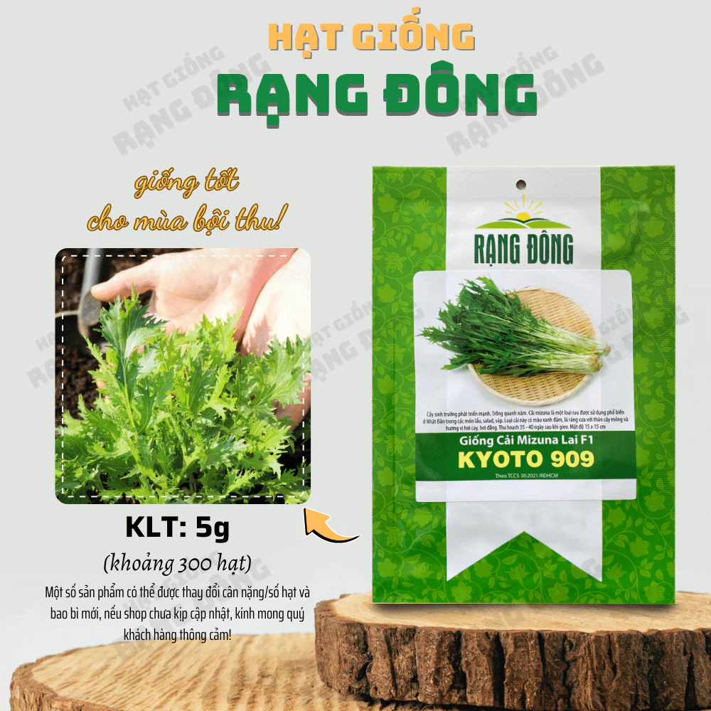 Hạt giống Cải Mizuna Kyoto 909 (5g~300 hạt)  giòn, thơm, dễ chăm sóc, trồng quanh năm - Hạt giống Rạng Đông