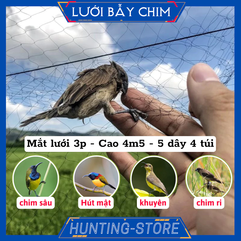 Lưới bẫy chim ri sâu khuyên hút mật mắt lưới 3p cao 4m5, 5 dây 4 túi