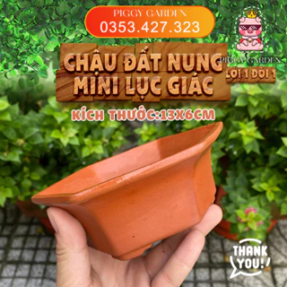 Chậu đất nung Bonsai, Sen đá mini lục giác