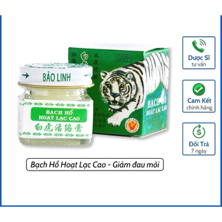 Cao xoa bạch hổ hoạt lạc cao 20g/lọ (chính hãng )