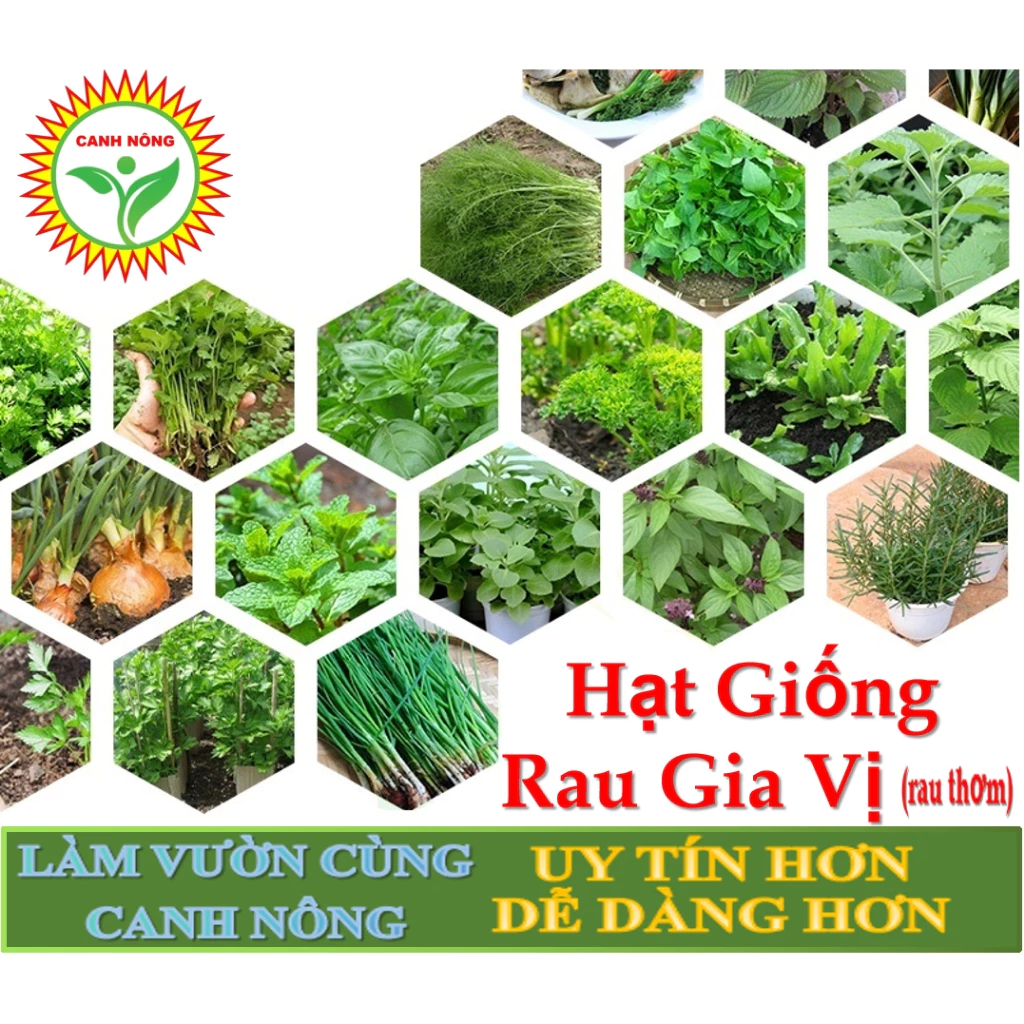 DEAL LỖ 1K - 1000 Hạt Giống Hành Hoa (Hành Lá) NGUYÊN GÓI NHẬP KHẨU - Rau Thơm, Rau Gia Vị - Tập làm vườn cùng CANH NÔNG