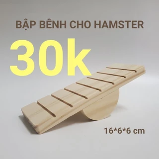 Cầu thang bập bênh cho hamster