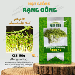 Hạt giống Mầm Rau Muống Rado 16 (50g~1000 hạt) giàu dinh dưỡng, dễ trồng, nhanh thu hoạch - Hạt giống Rạng Đông