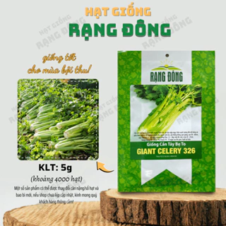 Hạt giống Cần Tây Bẹ To Giant Celery 326 (5g~4000 hạt) ép nước, dễ chăm sóc, sinh trưởng khỏe - Hạt giống Rạng Đông