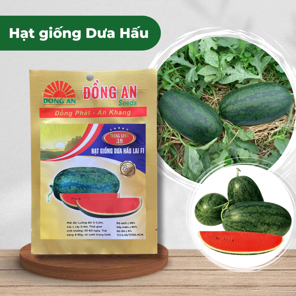 Hạt Giống Dưa Hấu F1, Siêu Sai Trái, Trái To Dài, Ruột Đỏ Ngọt, Ít Hạt, Nảy Mầm Cao, Năng Suất Tốt - Hạt Giống Đồng An