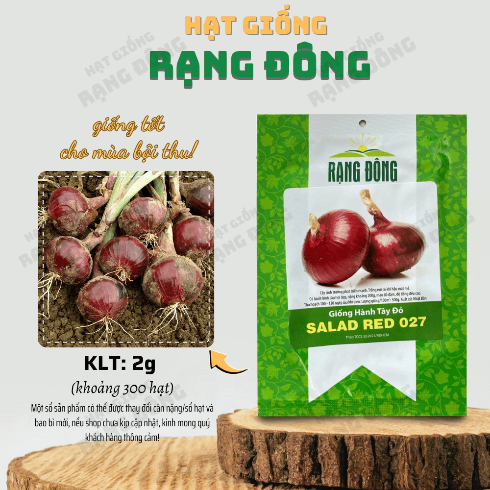 Hạt giống Hành Tây Đỏ Salad Red 027 (2g~300 hạt) củ to, sinh trưởng khỏe, trồng quanh năm - Hạt giống Rạng Đông