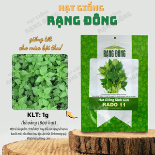 Hạt giống Kinh Giới Rado 11 (1g~1800 hạt) năng suất cao, kháng sâu bệnh, trồng quanh năm - Hạt giống Rạng Đông