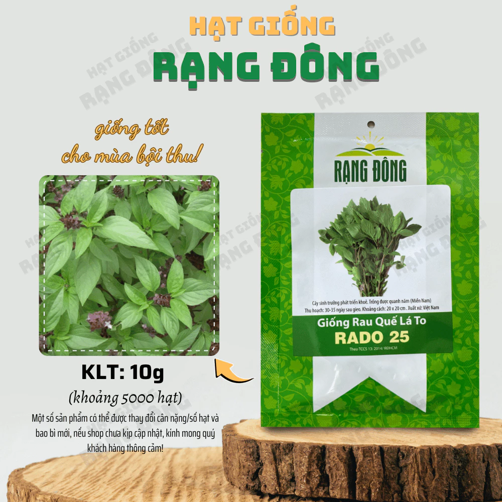 Hạt giống Quế Lá To Rado 25 (10g~5000 hạt) thu hoạch nhiều lần, trồng quanh năm - Hạt giống Rạng Đông