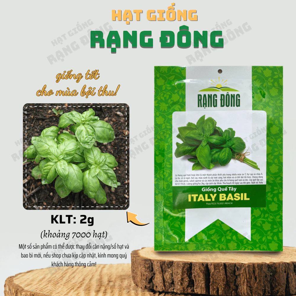 Hạt giống Quế Tây Italy Basil (2g~7000 hạt) dễ chăm sóc, dùng làm gia vị cho các món Âu -  Hạt giống Rạng Đông