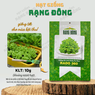 Hạt giống Xà Lách Baby Ăn Non Rado 360 (10g~6000 hạt) dễ trồng, sinh trưởng khỏe, nhanh thu hoạch - Hạt giống Rạng Đông