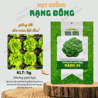 Hạt giống Xà Lách Búp Rado 45 (5g~4500 hạt) giống Xà Lách Đăm dễ trồng, nhanh thu hoạch - Hạt giống Rạng Đông