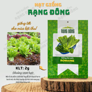 Hạt giống Xà Lách Romaine (2g~1000 hạt) chịu nhiệt tốt, giàu dinh dưỡng, trồng quanh năm - Hạt giống Rạng Đông