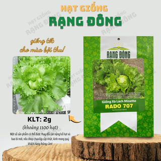 Hạt giống Xà Lách Minetto Rado 707 (2g~1100 hạt) chịu nhiệt, dễ chăm sóc, trồng quanh năm - Hạt giống Rạng Đông