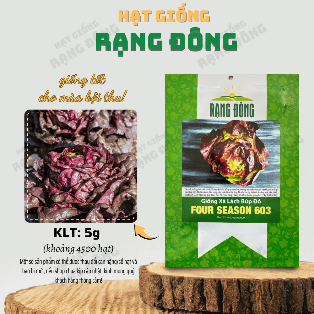 Hạt giống Xà Lách Búp Đỏ Four Season 603 (5g~4500 hạt) giàu dinh dưỡng, trồng quanh năm, dễ chăm - Hạt giống Rạng Đông