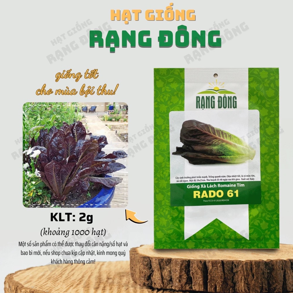 Hạt giống Xà Lách Romaine Tím Rado 61 (2g~1000 hạt) dễ trồng, giàu dinh dưỡng, sinh trưởng khỏe - Hạt giống Rạng Đông