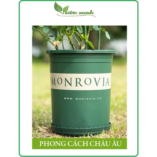 3Gl-(Nhập Khẩu Trung) Chậu Monrovia nhựa dẻo, bền sắc nét chuyên dùng trồng hoa hồng, cây cảnh