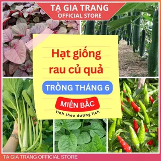 Hạt giống rau củ quả dễ trồng, năng suất cao tháng 6 ở miền Bắc