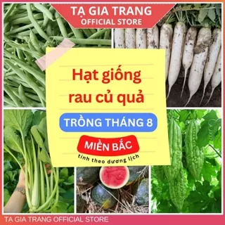 Hạt giống các loại rau củ quả dễ trồng, năng suất cao tháng 8 ở miền Bắc