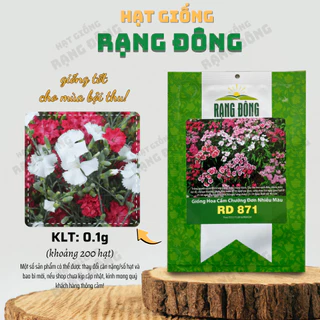 Hạt giống Hoa Cẩm Chướng Đơn Nhiều Màu Rd 871 (0,1g~200 hạt) sinh trưởng khỏe, trồng quanh năm - Hạt giống Rạng Đông