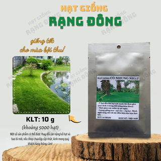 Hạt giống Cỏ Nhung Nhật (10g~5000 hạt) trồng quanh năm, làm thảm sân vườn, đẻ con nhanh - Hạt giống Rạng Đông