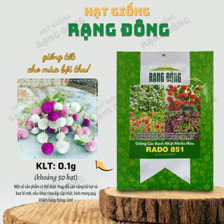 Hạt giống Hoa Cúc Bách Nhật Nhiều Màu Rd 851 (0,1g~50 hạt) trồng quanh năm, cây sinh trưởng khỏe - Hạt giống Rạng Đông