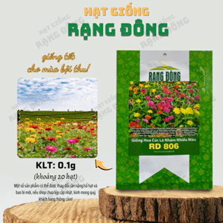 Hạt giống Hoa Cúc Lá Nhám Nhiều Màu Rd 806 (0,1g~20 hạt) trồng thảm hoặc chậu quanh năm - Hạt giống Rạng Đông