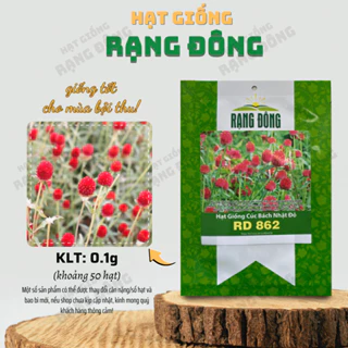 Hạt giống Hoa Cúc Bách Nhật Đỏ Rd 862 (0,1g~50 hạt) dễ trồng, cây khỏe, hoa ra liên tục - Hạt giống Rạng Đôn