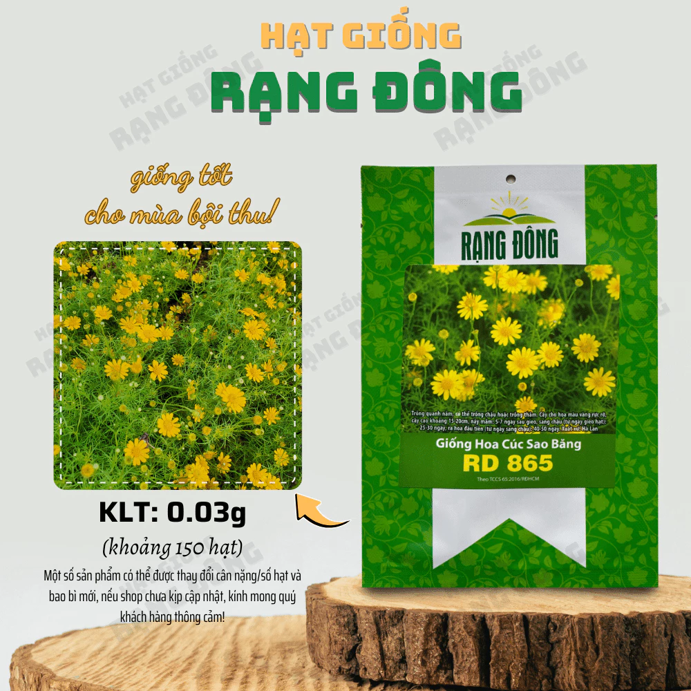 Hạt giống Hoa Cúc Sao Băng Rd 865 (0,03g~150 hạt) trồng chậu, hoa nở đều, liên tục, màu vàng - Hạt giống Rạng Đông