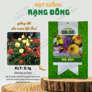 Hạt giống Hoa Thược Dược Kép Cao Nhiều Màu Rd 894 (0,1g~25 hạt) cao 140-160cm, trồng quanh năm - Hạt giống Rạng Đông