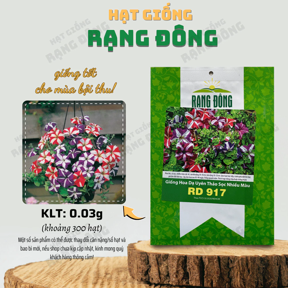 Hạt giống Hoa Dạ Uyên Thảo Sọc Nhiều Màu Rd 917 (0,03g~300 hạt) dễ chăm sóc, trồng quanh năm - Hạt giống Rạng Đông