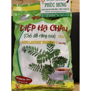 Trà Diệp hạ châu (chó đẻ răng cưa) Vĩnh Tiến_100gói_Tiêu độc tiêu viêm, thông huyết mạch và lợi tiểu