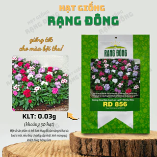 Hạt giống Hoa Dừa Cạn Lùn Lai F1 Nhiều Màu Rd 856 (0,03g~30 hạt) trồng giỏ treo, chậu ban công - Hạt giống Rạng Đông