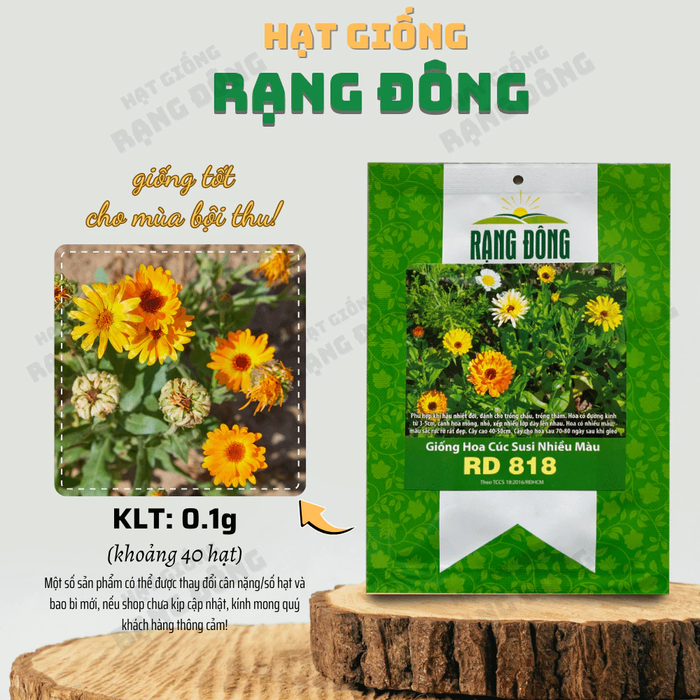 Hạt giống Hoa Cúc Susi Nhiều Màu Rd 818 (0,1g~40 hạt) dễ chăm, hoa nở rực rỡ, trồng quanh năm - Hạt giống Rạng Đông